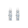 Eternity Earring, 0.3 ct — 102-10127